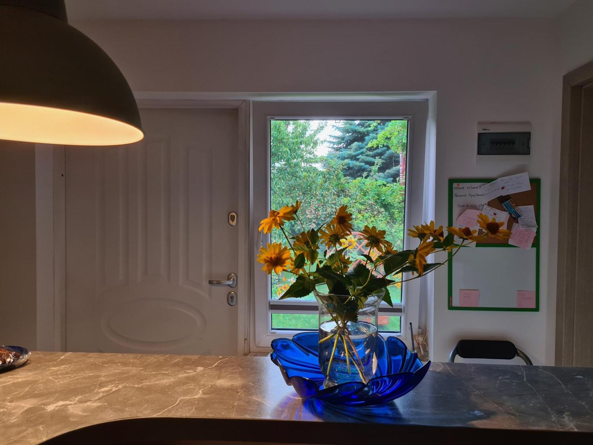 Apartament Bema ビャワ・ボドラスカ エクステリア 写真